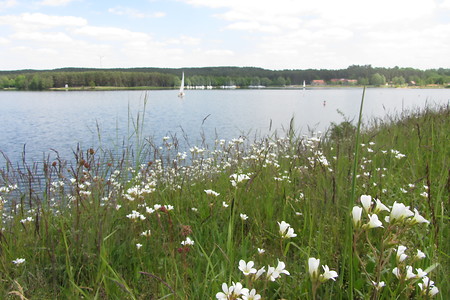 Allersberg Rothsee &ndash; (18.05.2016, schreibwerk &copy;&nbsp;schreibwerk)