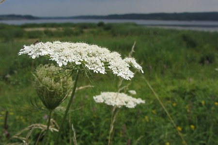 Allersberg Rothsee &ndash; (18.05.2016, schreibwerk &copy;&nbsp;schreibwerk)