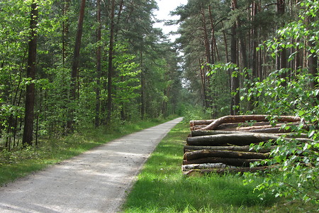 Weg HIP nach Roth &ndash; (18.05.2016, schreibwerk &copy;&nbsp;schreibwerk)