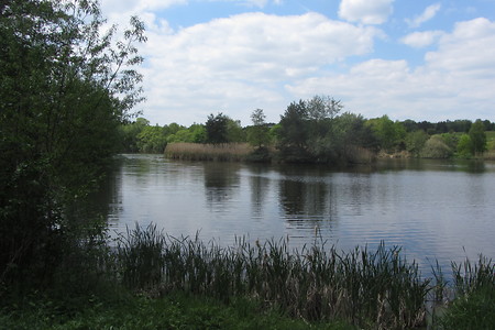 Rothsee Polsdorf &ndash; (18.05.2016, schreibwerk &copy;&nbsp;schreibwerk)