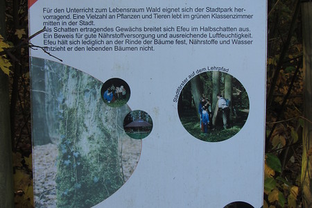 Spiel- und Lehrwald &ndash; (18.05.2016, schreibwerk &copy;&nbsp;schreibwerk)