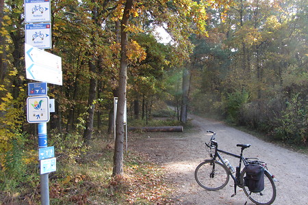 Waldweg mit Fahrrad &ndash; (18.05.2016, schreibwerk &copy;&nbsp;schreibwerk)