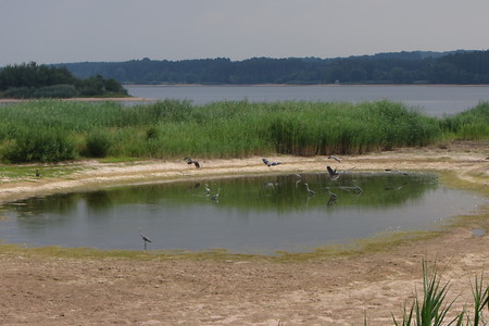 Allersberg Rothsee &ndash; (18.05.2016, schreibwerk &copy;&nbsp;schreibwerk)