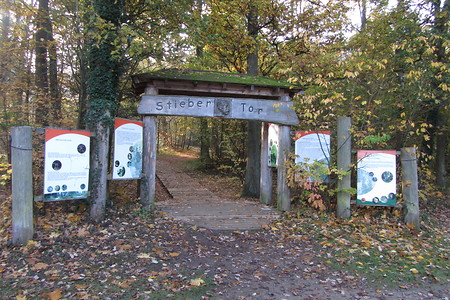 Roth Stadtpark Waldpfad &ndash; (18.05.2016, schreibwerk &copy;&nbsp;schreibwerk)