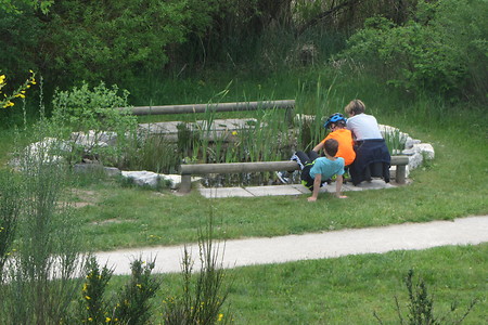 Umweltstation Rothsee &ndash; (10.07.2018, schreibwerk &copy;&nbsp;schreibwerk)