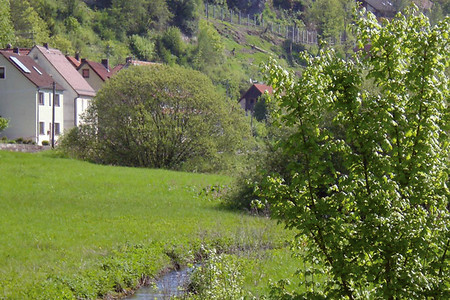 Trubach mit Burgruine Wolfsberg &ndash; (VGN &copy;&nbsp;VGN GmbH)