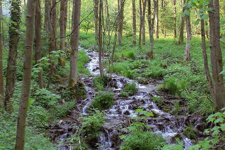 Im Todsfeldtal &ndash; (VGN &copy;&nbsp;VGN GmbH)