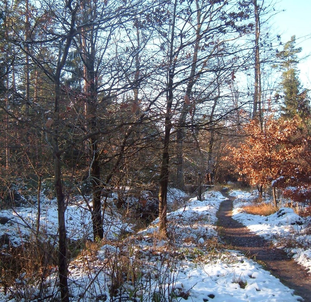 Wanderpfad im Winter &ndash;  (11.12.2015, VGN &copy;&nbsp;VGN GmbH)
