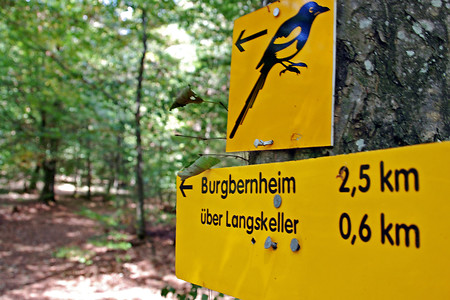 Wegezeichen im Wald &ndash; (15.02.2019, VGN U.Buescher &copy;&nbsp;VGN GmbH)