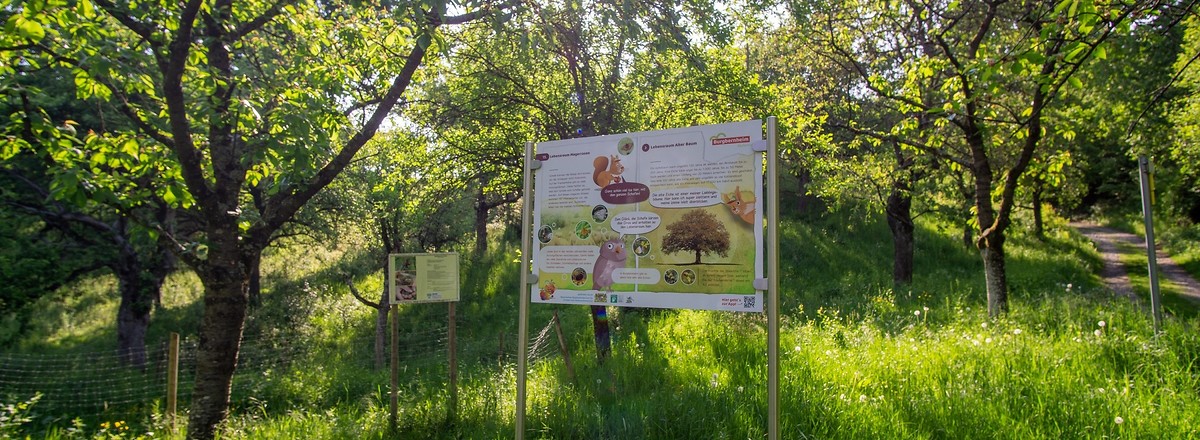 Hinweisschild &ndash;  (27.09.2020, U. Büscher &copy;&nbsp;VGN GmbH)