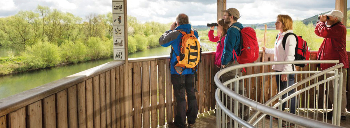 Aussichtsturm in der Mainaue &ndash;  (06.02.2018, Haßberge Tourismus im Naturpark Haßberge &copy;&nbsp;Haßberge Tourismus im Naturpark Haßberge)
