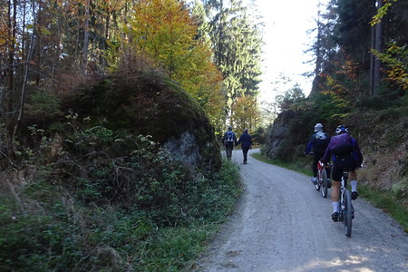 Radler &ndash; (14.10.2018, S. Dassler &copy;&nbsp;VGN GmbH)