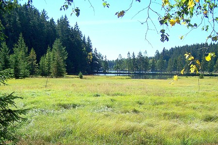 Am Fichtelsee &ndash; (14.10.2018, G. Härer &copy;&nbsp;VGN GmbH)