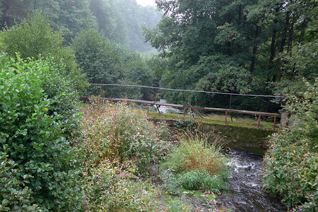 Fichtelnaabradweg &ndash; (14.10.2018, S. Dassler &copy;&nbsp;VGN GmbH)