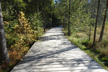 Holzweg &ndash; (14.10.2018, S. Dassler &copy;&nbsp;VGN GmbH)