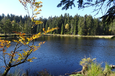 Herbst am Fichtelsee &ndash; (14.10.2018, S. Dassler &copy;&nbsp;VGN GmbH)