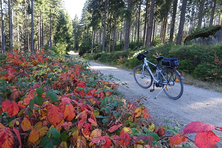 Radweg herbstlich &ndash; (14.10.2018, S. Dassler &copy;&nbsp;VGN GmbH)