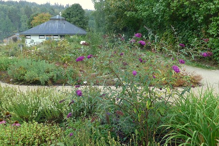 Duft- und Schmetterlingsgarten &ndash; (14.10.2018, G. Härer &copy;&nbsp;VGN GmbH)