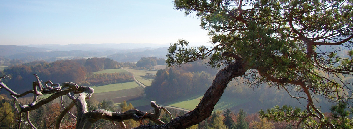 Schöner Aussichtspunkt &ndash;  (VGN &copy;&nbsp;VGN GmbH)