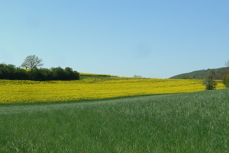 Vom Landschaftsgarten auf die Höhen über Eichelsberg &ndash; (23.04.2020, G. Härer &copy;&nbsp;VGN GmbH)