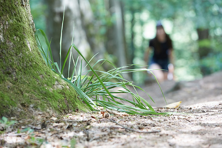 Gras am Wegesrand &ndash; (20.07.2019, A. Gaspar-Klein &copy;&nbsp;A. Gaspar-Klein)