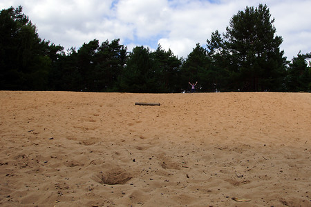 Auf der Sanddüne &ndash; (VGN &copy;&nbsp;VGN GmbH)