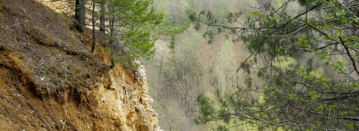 Alter Steinbruch &ndash;  (14.04.2012, VGN &copy;&nbsp;VGN GmbH)