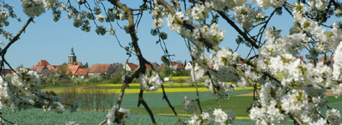 Kirschblüte &ndash;  (16.04.2007, up3 &copy;&nbsp;up3)