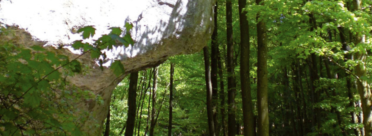 Hängender Stein &ndash;  (VGN &copy;&nbsp;VGN GmbH)