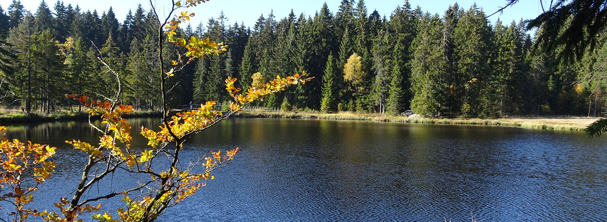 Fichtelsee herbstlich &ndash;  (14.10.2018, S. Dassler &copy;&nbsp;VGN GmbH)