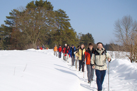 Wandergruppe zwischen Neuhaus und Velden &ndash; (08.02.2010, VGN &copy;&nbsp;VGN GmbH)