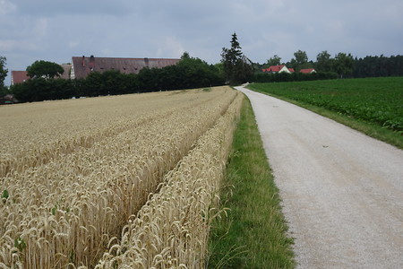 Weg nach Pleikershof &ndash; (12.07.2018, VGN S.Daßler &copy;&nbsp;VGN GmbH)