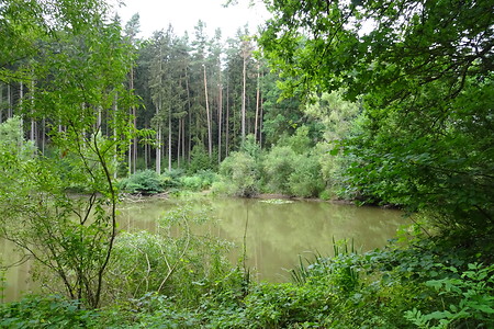 Weiherkette &ndash; (12.07.2018, VGN S.Daßler &copy;&nbsp;VGN GmbH)