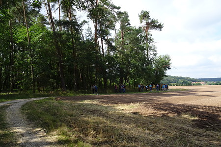 Waldweg &ndash; (12.07.2018, VGN S.Daßler &copy;&nbsp;VGN GmbH)