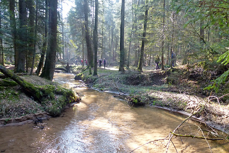 Röthenbachtal am Fränkischen Dünenweg &ndash; (VGN &copy;&nbsp;VGN GmbH)