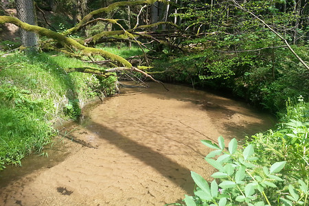 Der Röthenbach &ndash; (01.05.2014, VGN &copy;&nbsp;VGN GmbH)