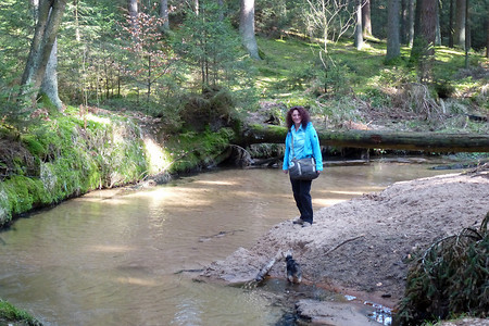 Sandbank &ndash; (08.03.2014, VGN &copy;&nbsp;VGN GmbH)