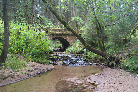 Alte Steinbrücke am Fränkischen Dünenweg &ndash; (VGN &copy;&nbsp;VGN GmbH)