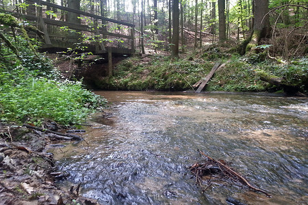 Der Röthenbach &ndash; (01.05.2014, VGN &copy;&nbsp;VGN GmbH)