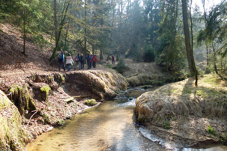 Röthenbachtal &ndash; (08.03.2014, VGN &copy;&nbsp;VGN GmbH)