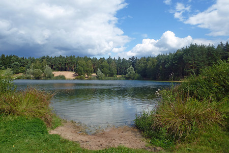 Südufer des Birkensees &ndash; Ein Rundgang um den See lohnt sich (24.08.2014, VGN &copy;&nbsp;VGN GmbH)