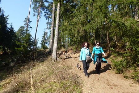 Pfad am Fränkischen Dünenweg &ndash; (VGN &copy;&nbsp;VGN GmbH)