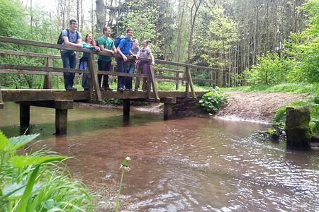 Brücke vor dem Birkensee &ndash; (01.05.2014, VGN &copy;&nbsp;VGN GmbH)