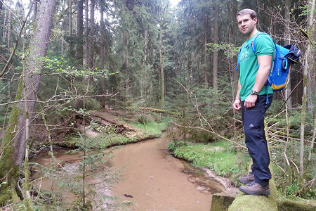 Umgestürzte Bäume über dem Röthenbach &ndash; (01.05.2014, VGN &copy;&nbsp;VGN GmbH)