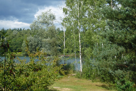 Birken am Birkensee &ndash; (24.08.2014, VGN &copy;&nbsp;VGN GmbH)