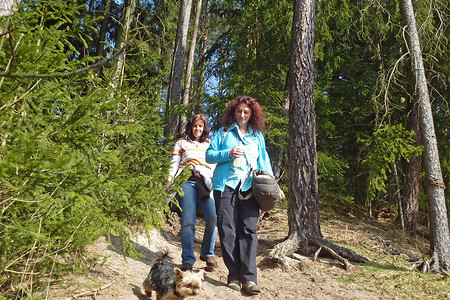 Fränkischer Dünenweg &ndash; (08.03.2014, VGN &copy;&nbsp;VGN GmbH)