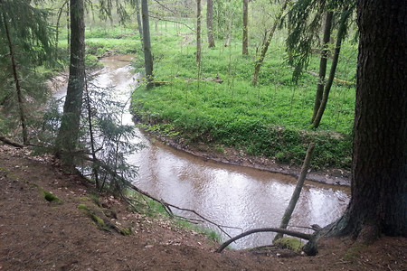 Blick auf den Röthenbach &ndash; (01.05.2014, VGN &copy;&nbsp;VGN GmbH)