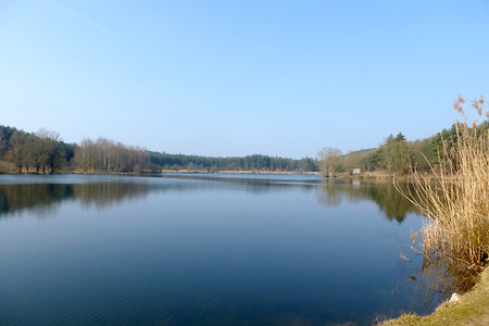 Birkensee &ndash; (08.03.2014, VGN &copy;&nbsp;VGN GmbH)