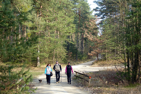 Geißgraben &ndash; (08.03.2014, VGN &copy;&nbsp;VGN GmbH)