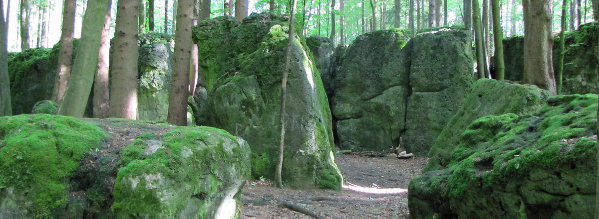 Druidenhain &ndash;  (15.05.2014, VGN &copy;&nbsp;VGN GmbH)